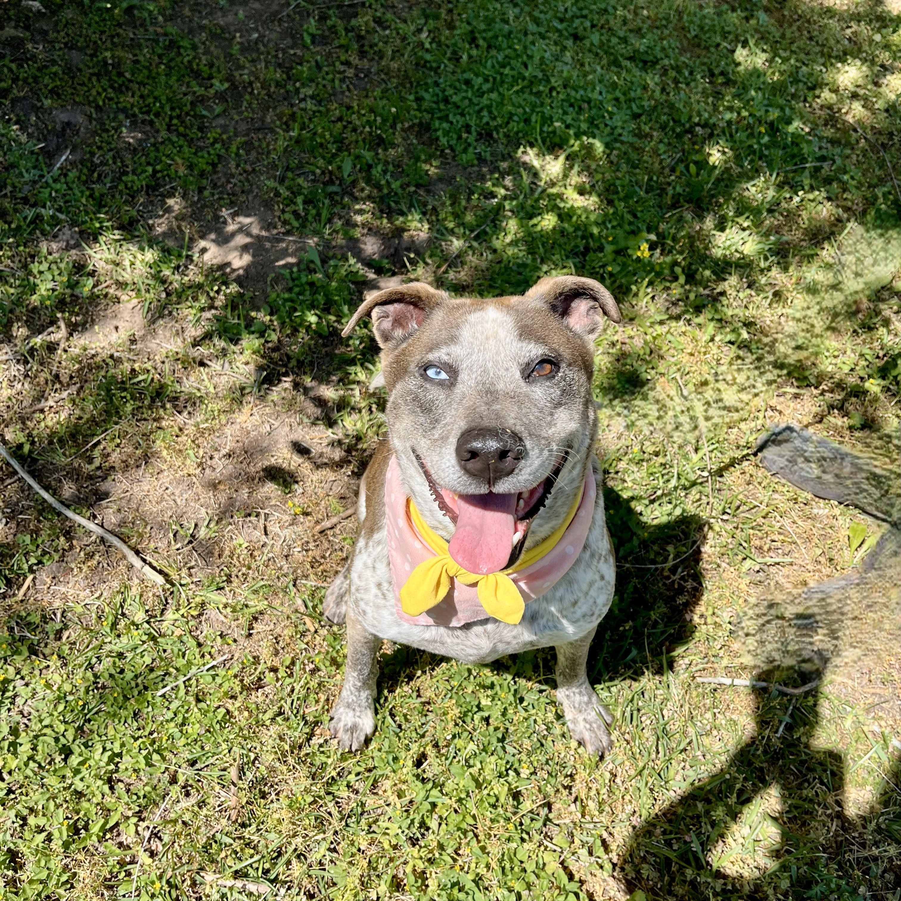 Nezuko Kamado — thumbnail 5