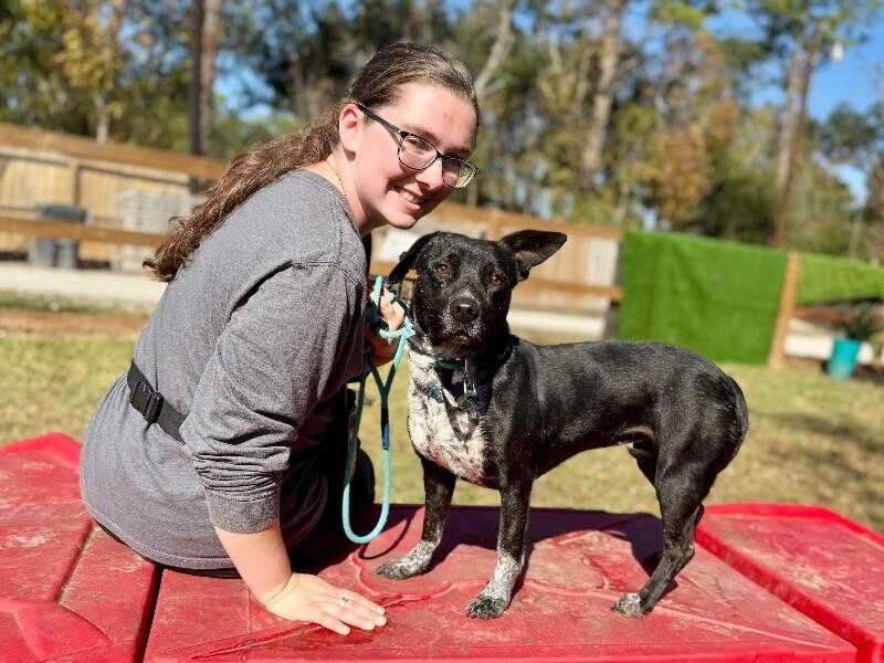 Dolly Calm Heart — thumbnail 4