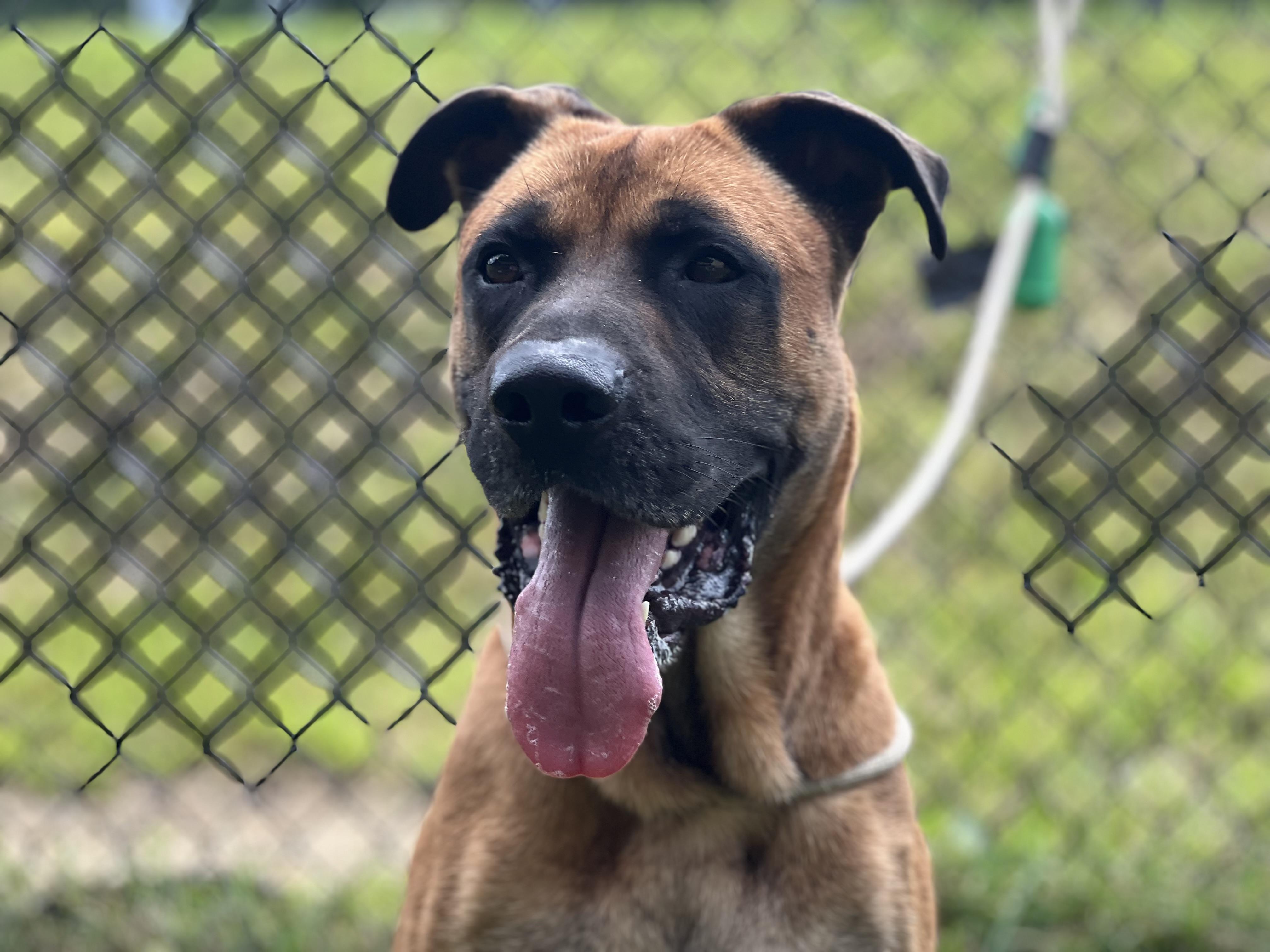 Duke