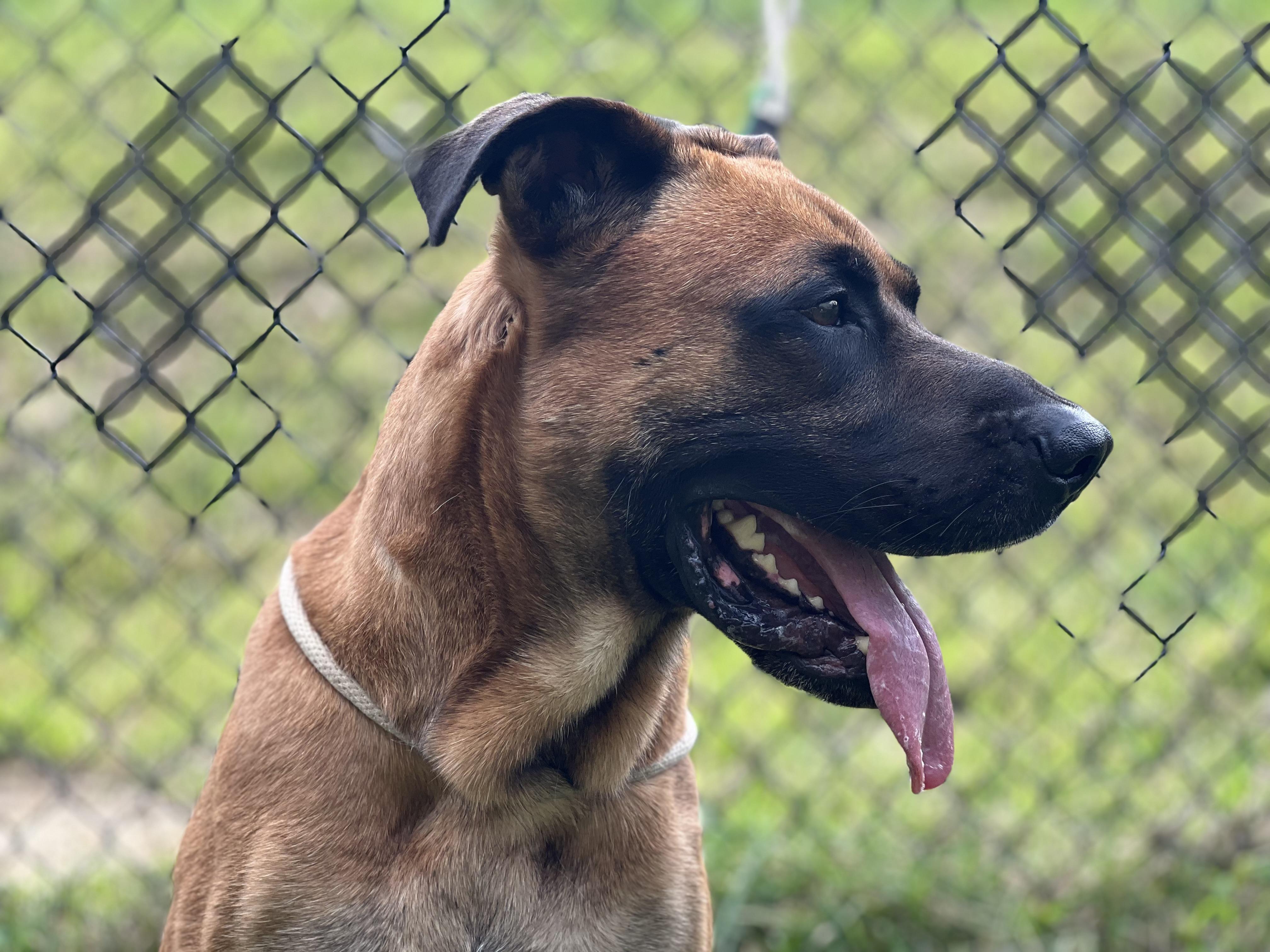 Duke
