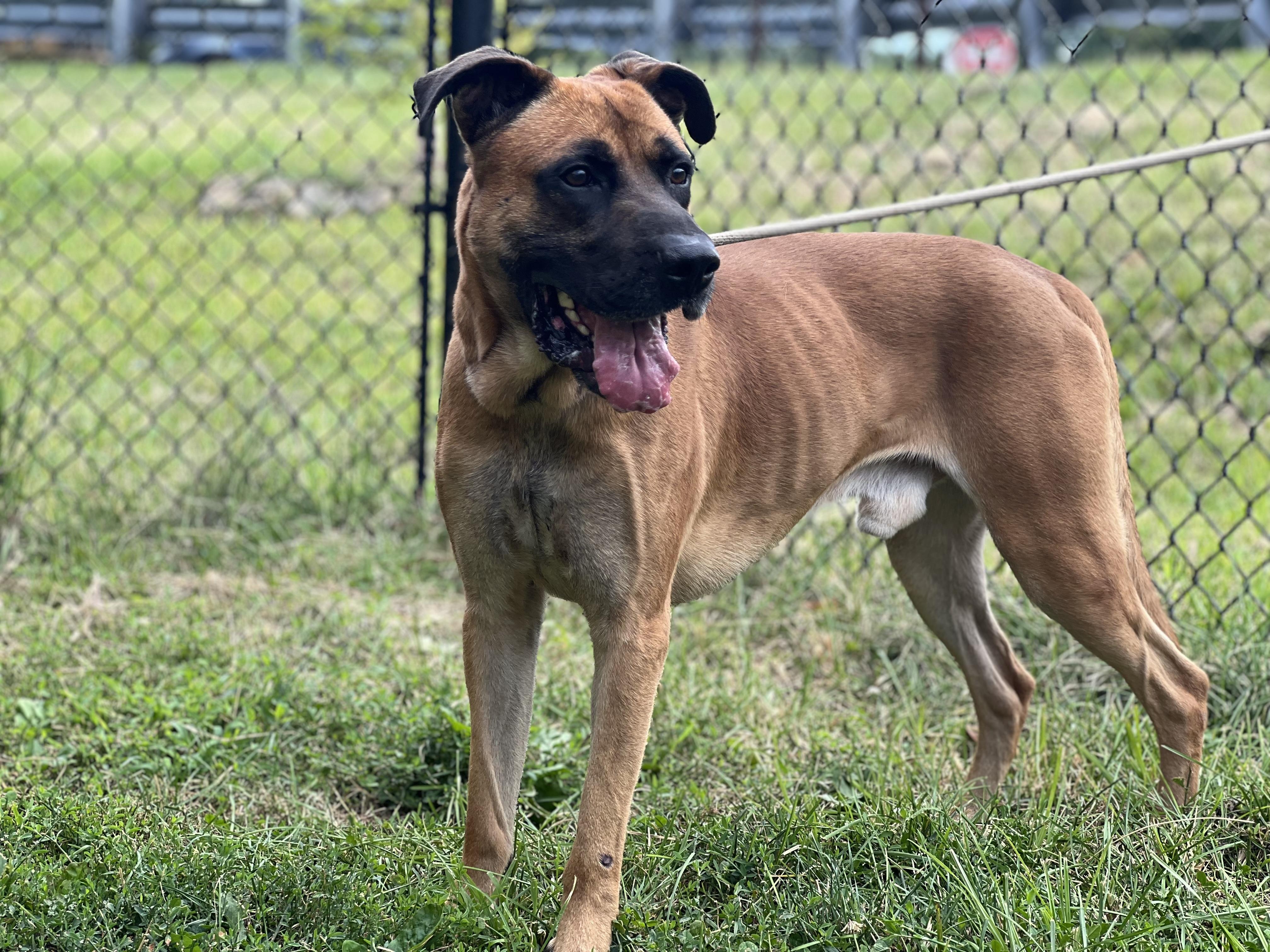 Duke