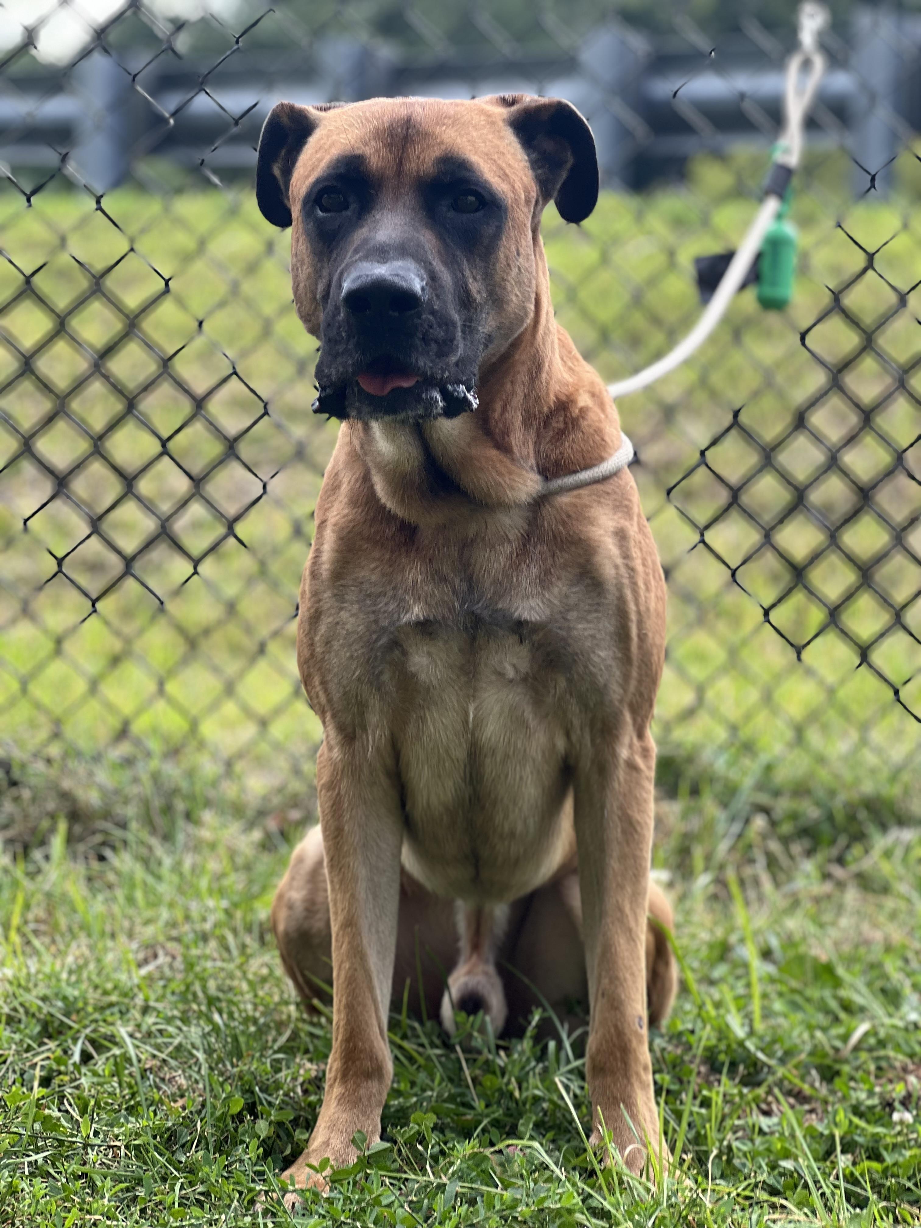 Duke