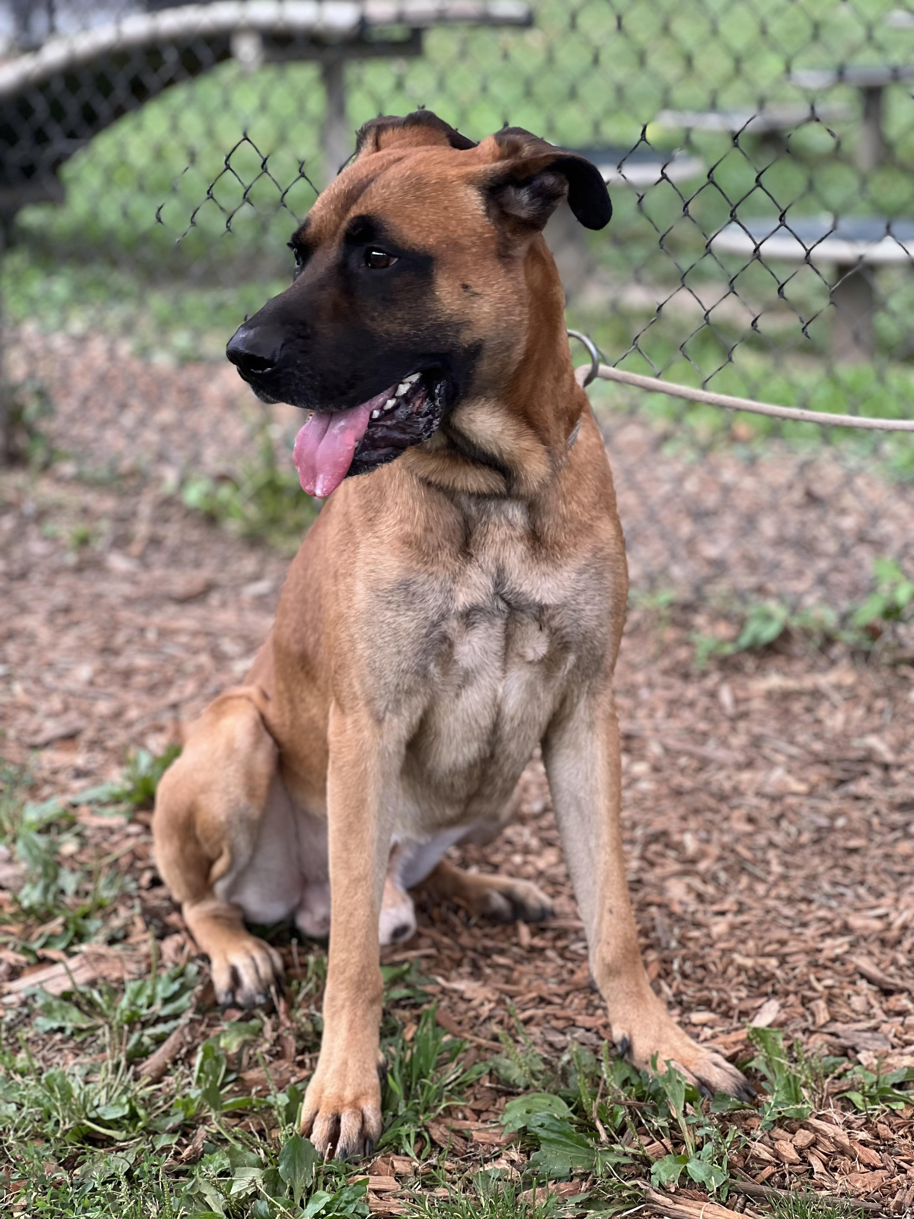 Duke