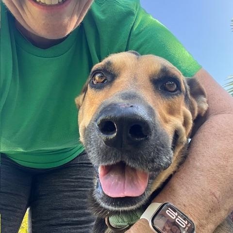 Enlarge Mo, a ADOPTABLE mixed breed in Milwaukie, OR image 2/6