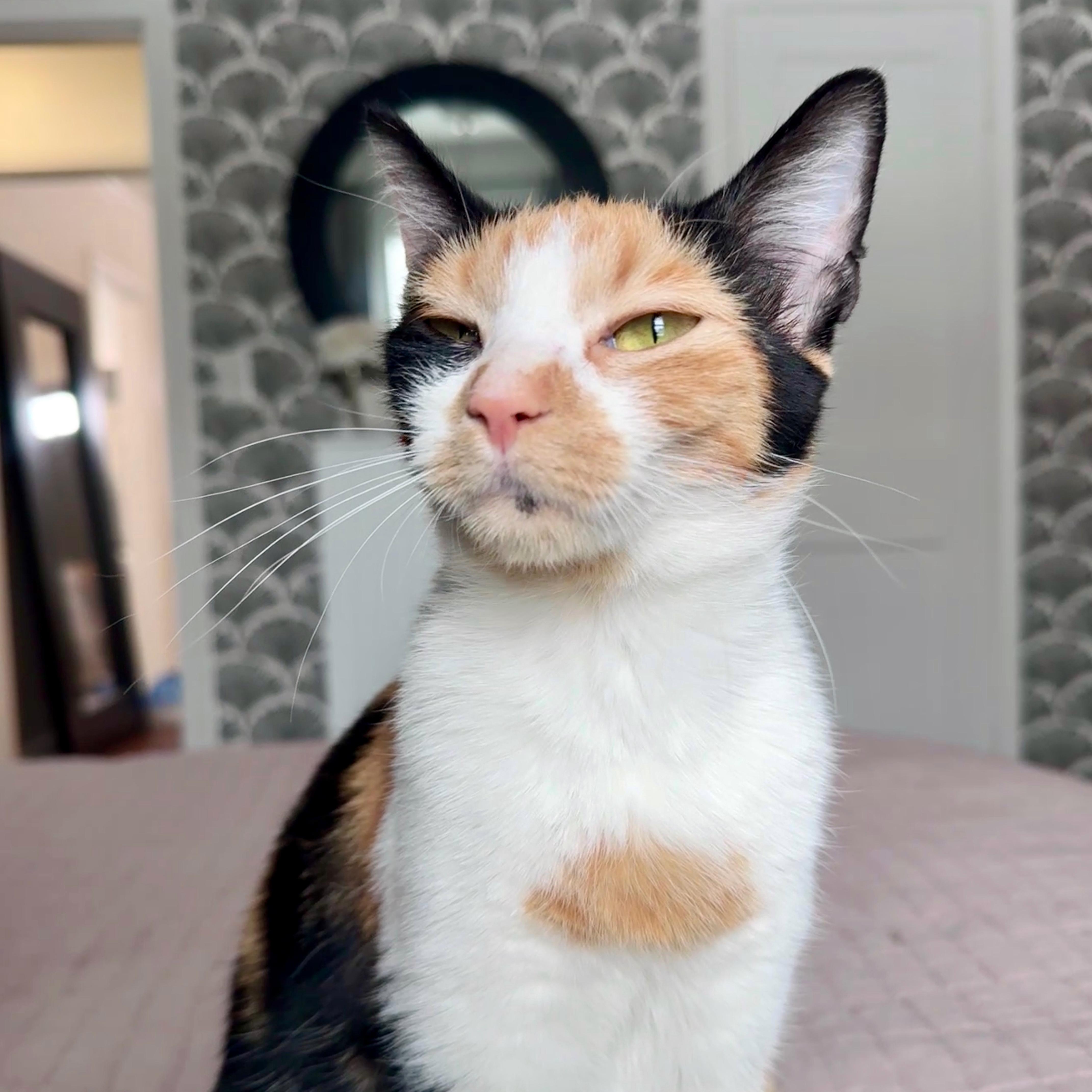 Sweet Pea — thumbnail 3