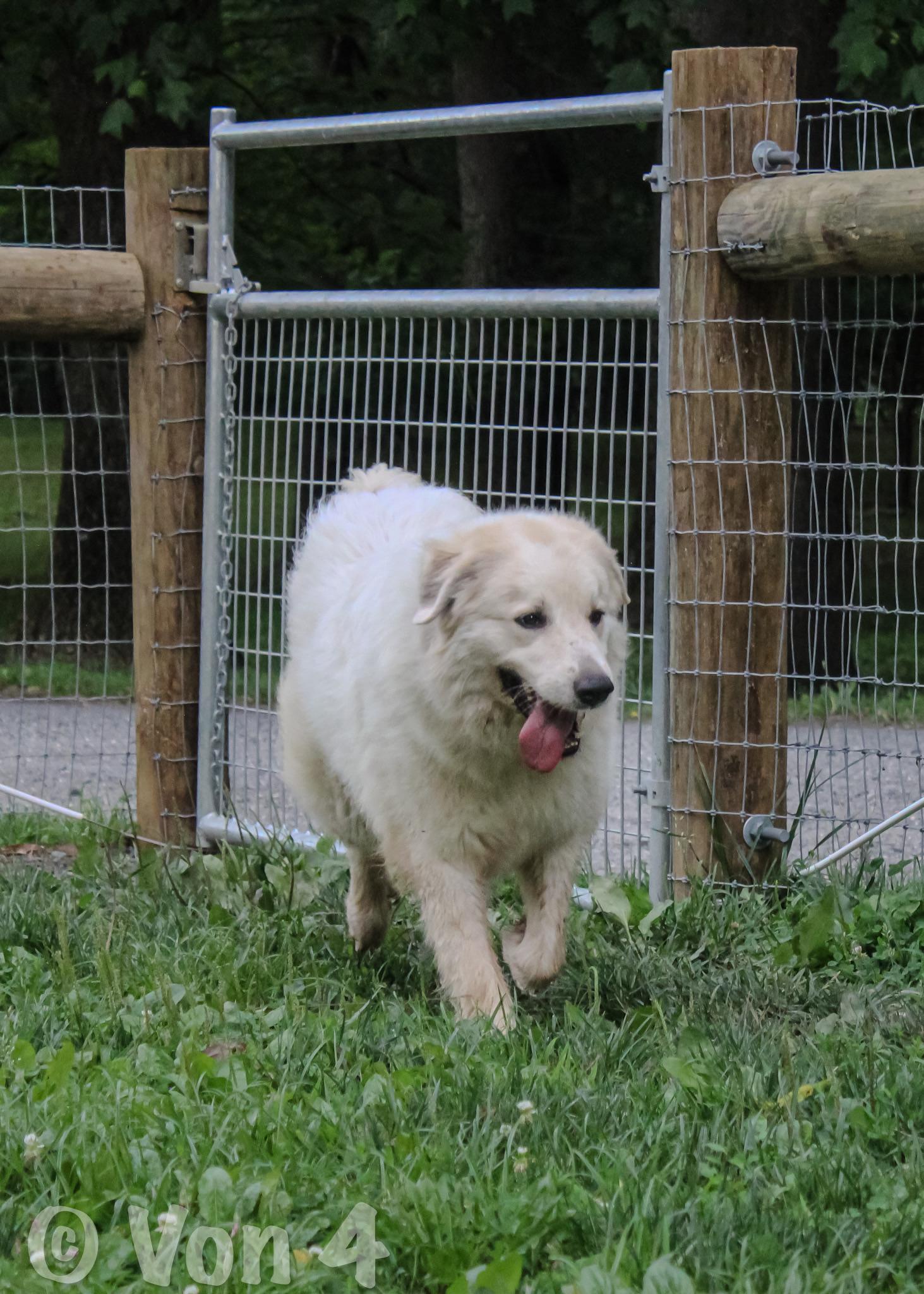 Dolly photo 2