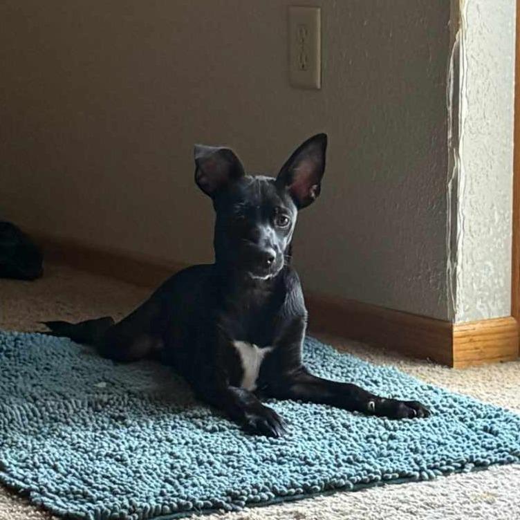 Onix — thumbnail 2