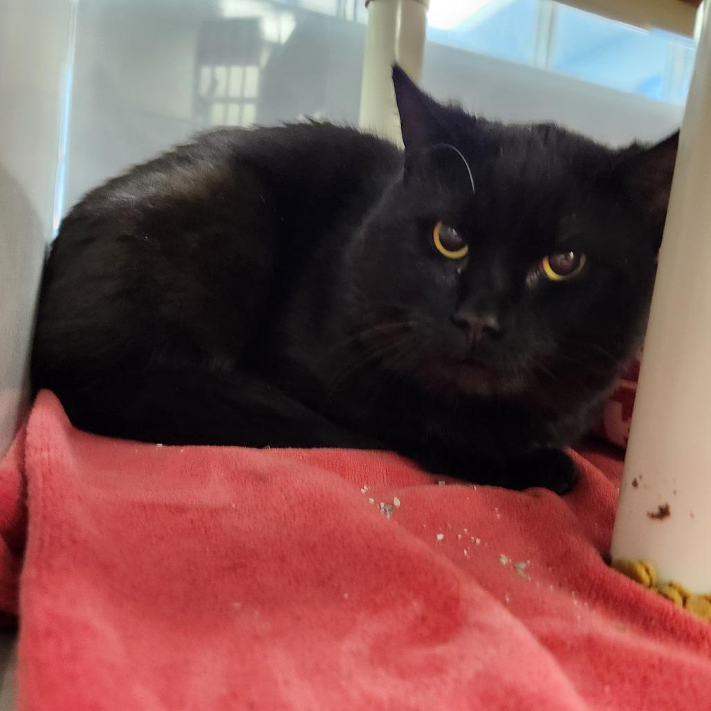 Lucky — thumbnail 2