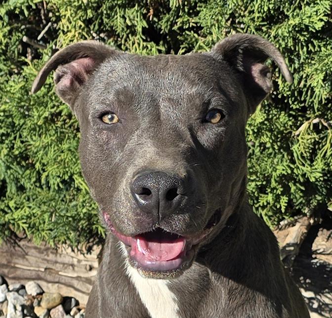 Beautiful Ms Blu Slate = ROCK STAR !