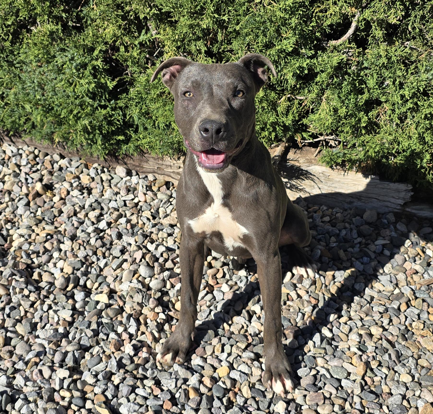 Beautiful Ms Blu Slate = ROCK STAR !