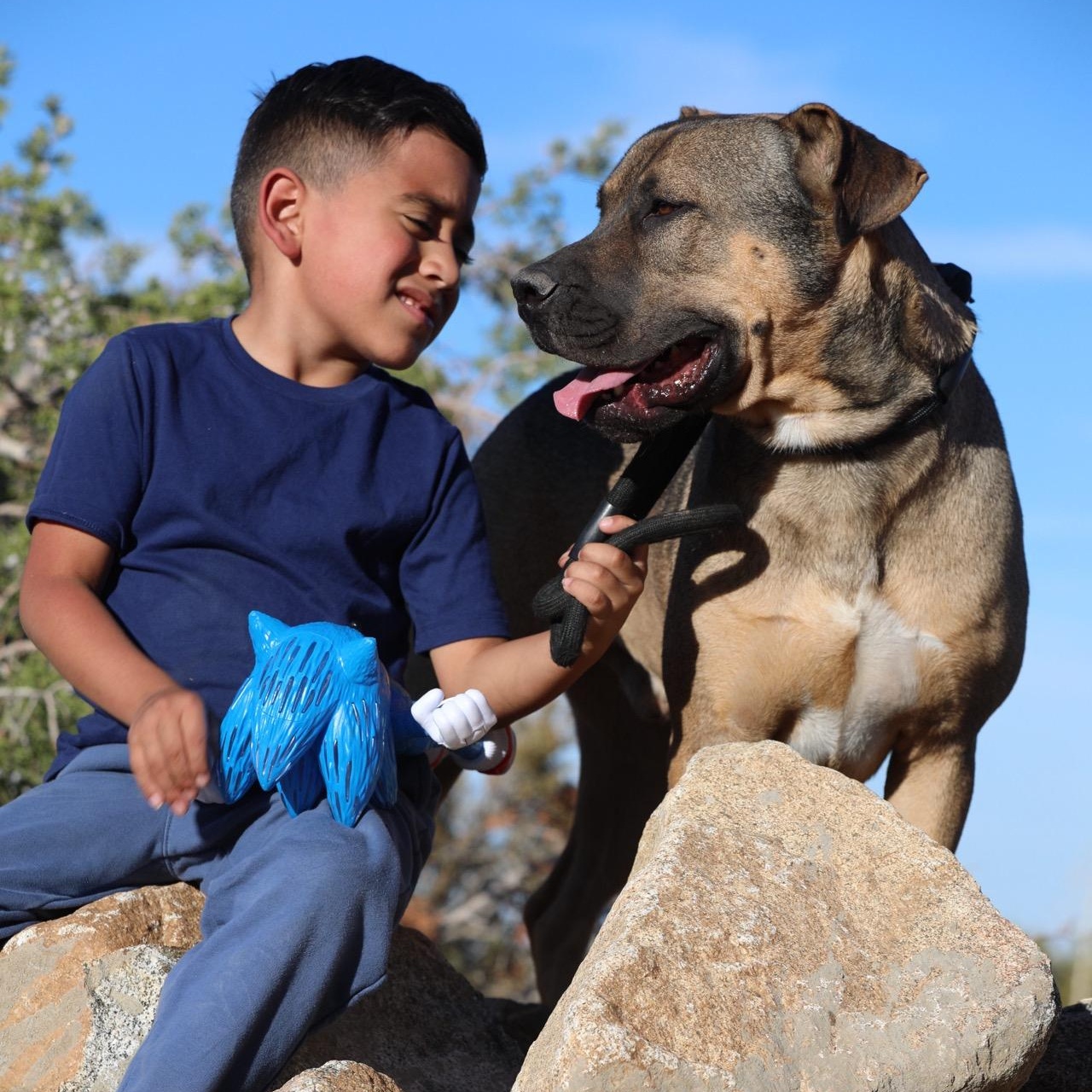 Benson, a ADOPTABLE mixed breed in Cypress , CA image 3/6