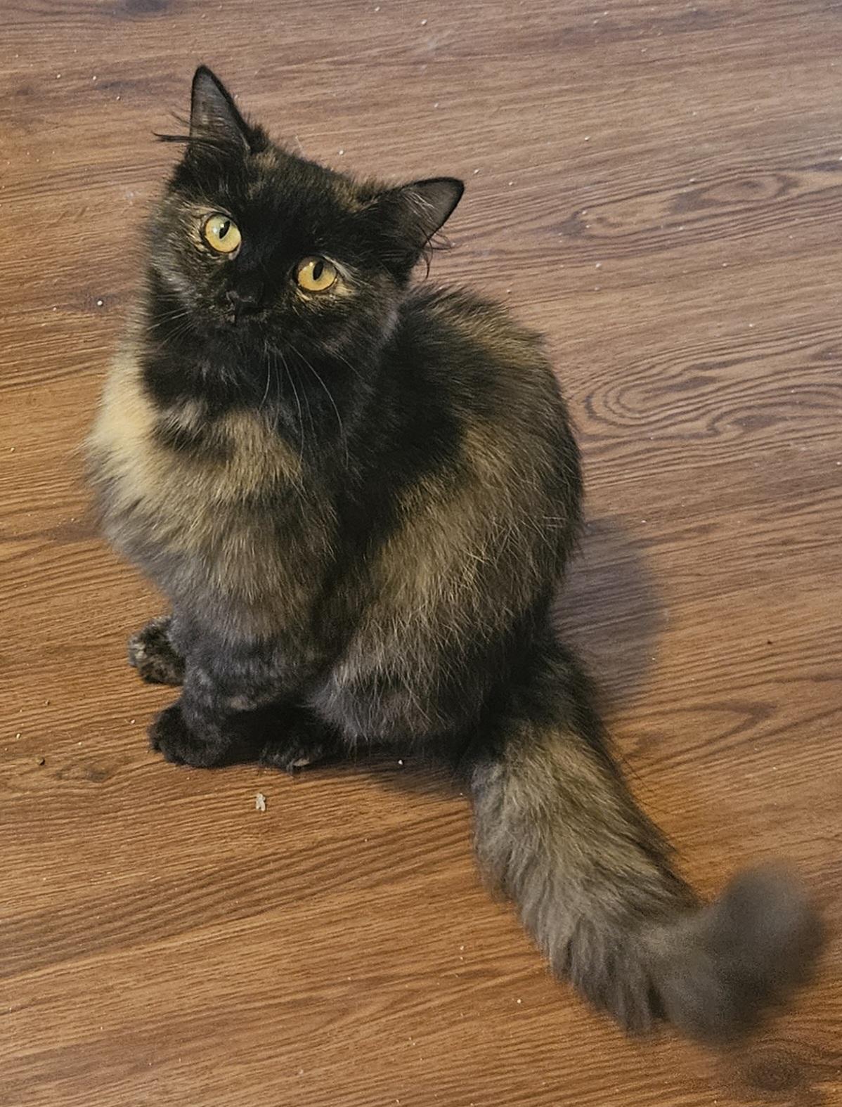 Kiki
