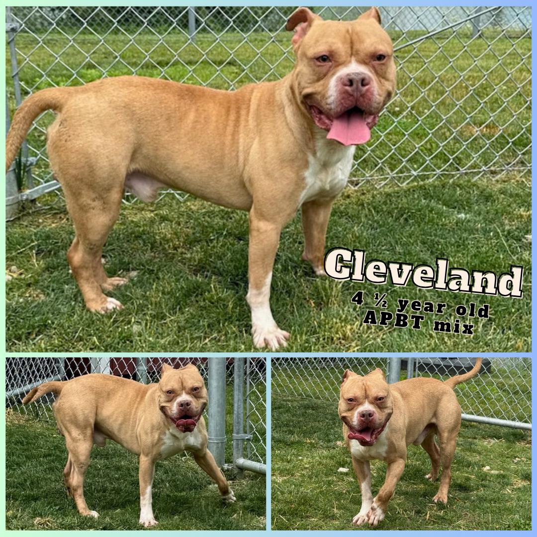 Cleveland