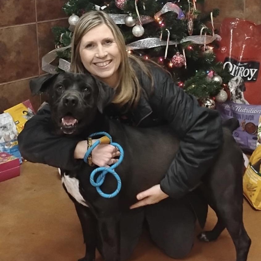 Batman, a Adoptable mixed breed in Heber Springs, AR image 6/6