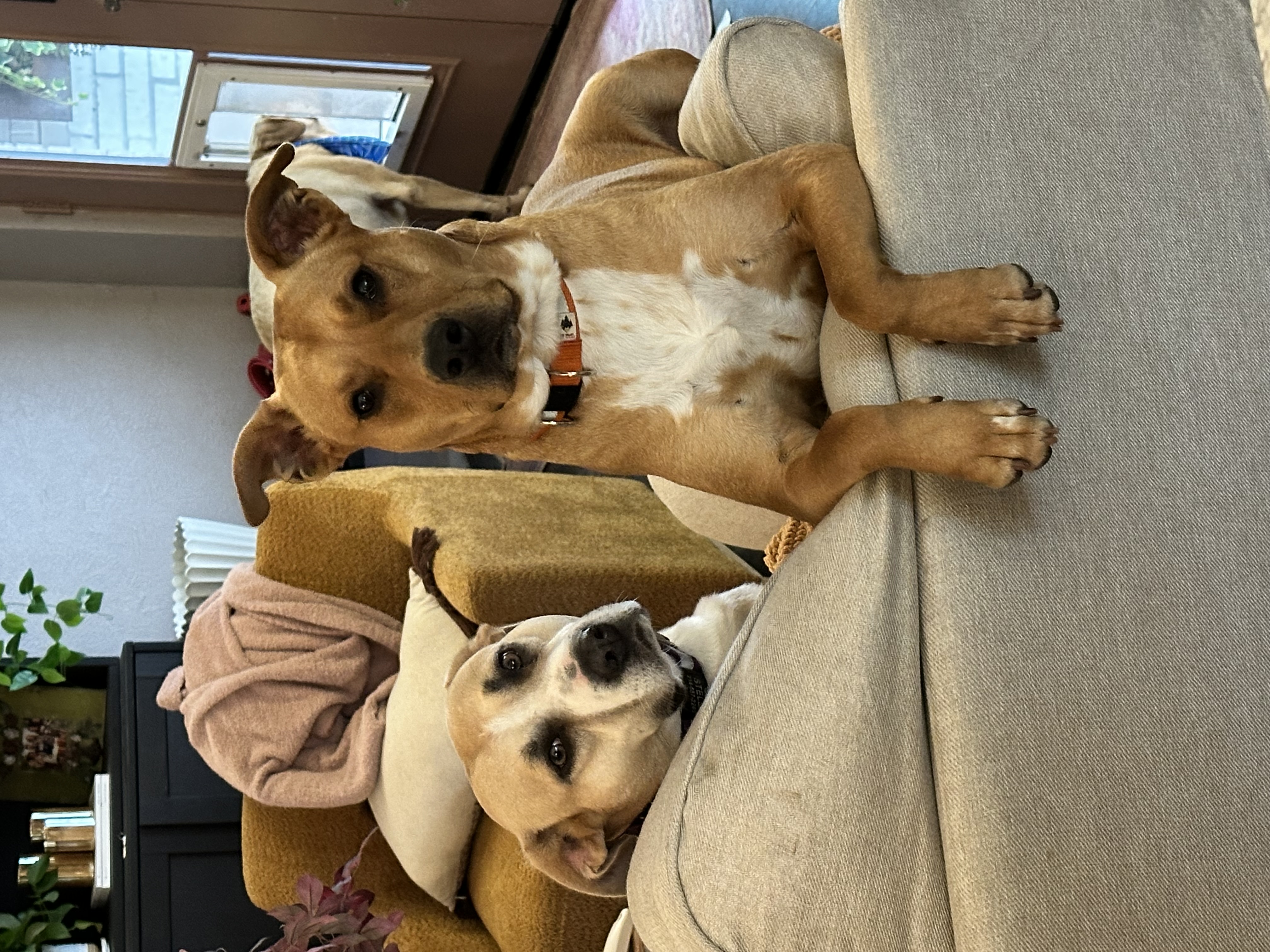 Missy photo 3