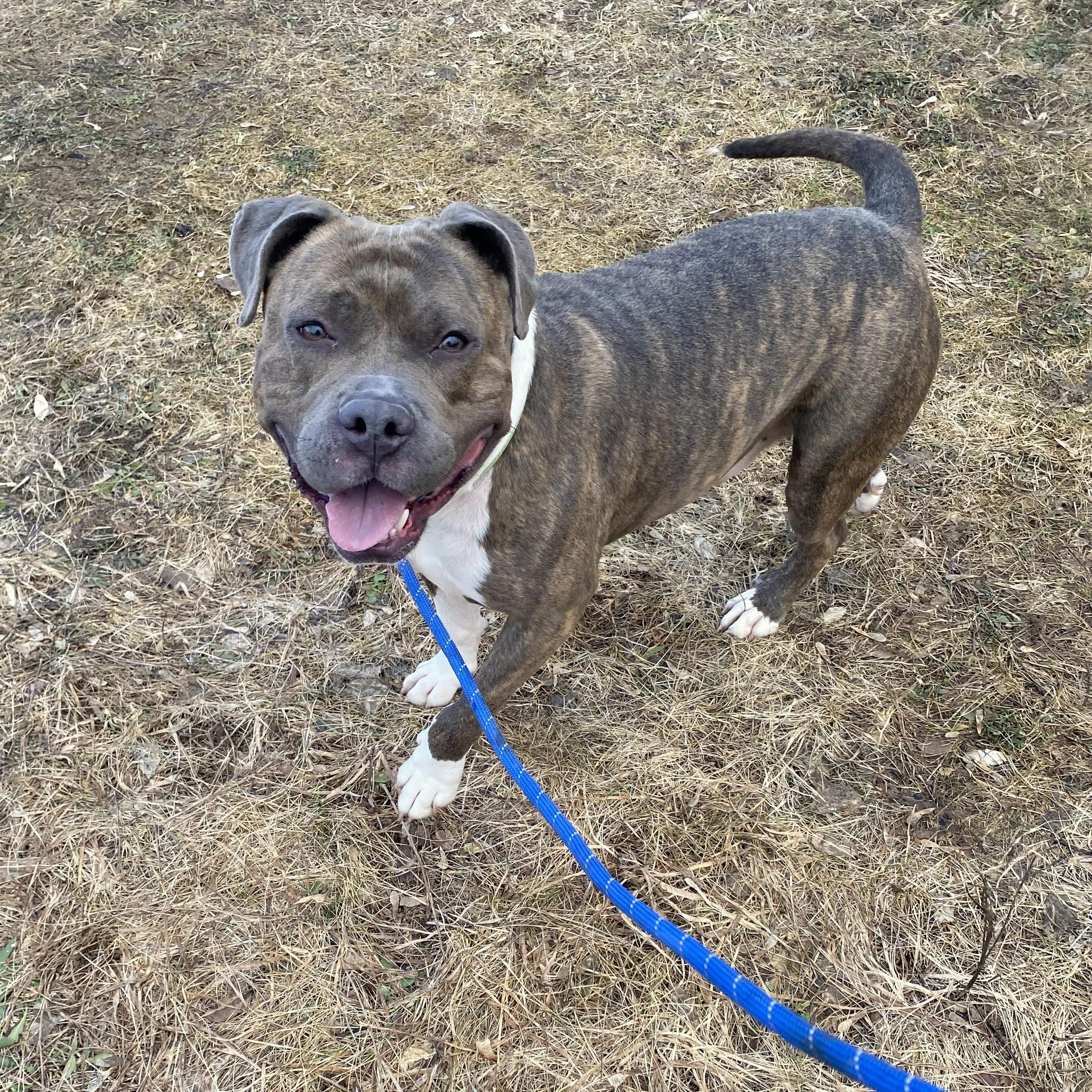 Kermit — thumbnail 6