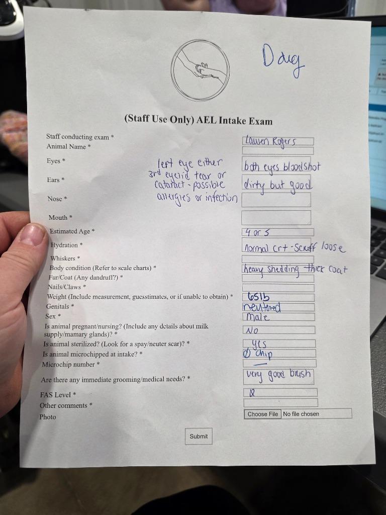 Enlarge Hank fka (Doug 26-8444), a Adopted mixed breed in Minot, ND image 2/6