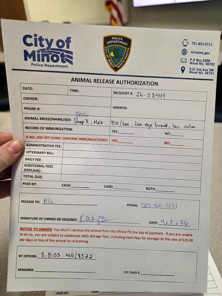 Enlarge Hank fka (Doug 26-8444), a Adopted mixed breed in Minot, ND image 5/6