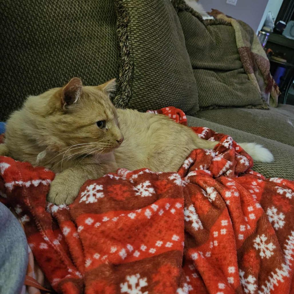 Gary — thumbnail 2