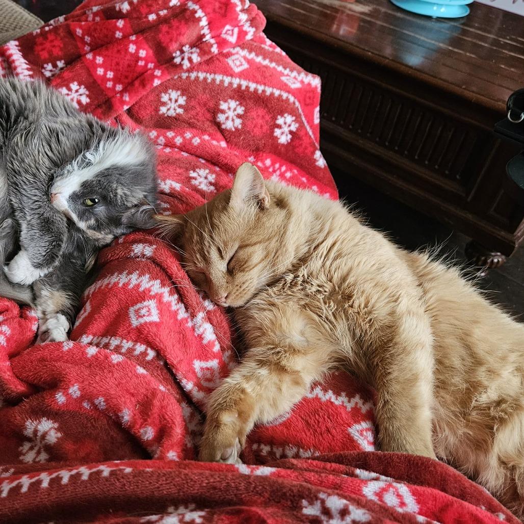 Gary — thumbnail 4