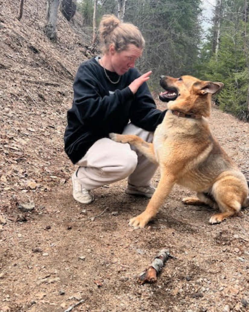 Enlarge Sandy, a ADOPTABLE mixed breed in Calgary, AB image 2/5