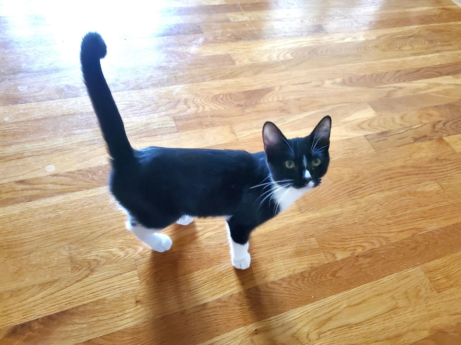 Lauren Bacall thumbnail 2