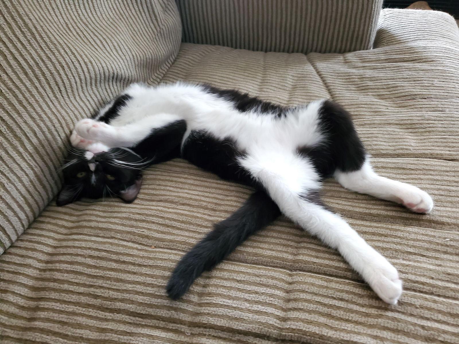 Lauren Bacall thumbnail 3