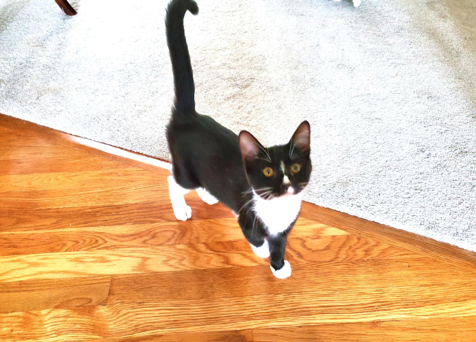 Lauren Bacall thumbnail 4