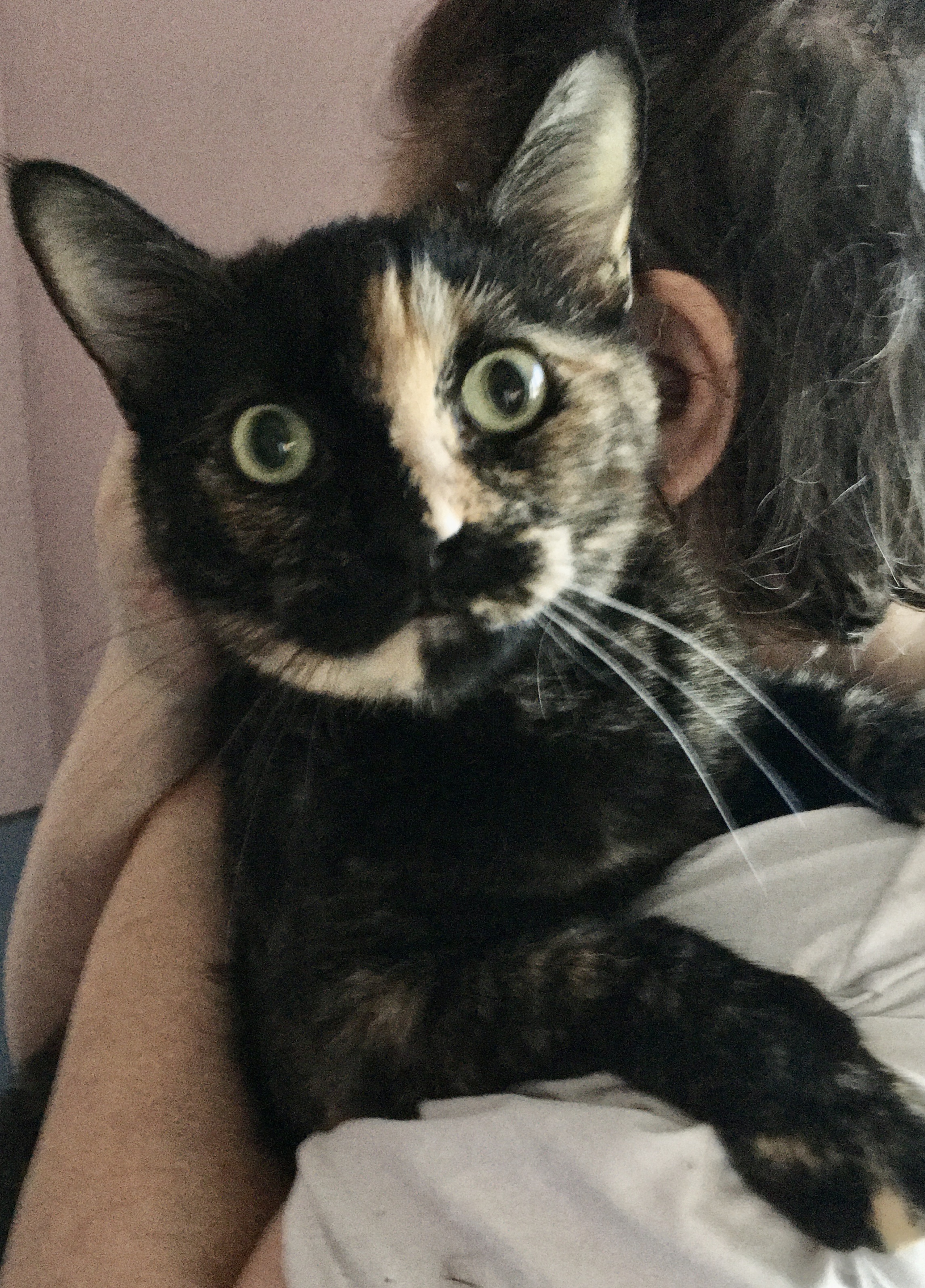 Della Delilah photo 2