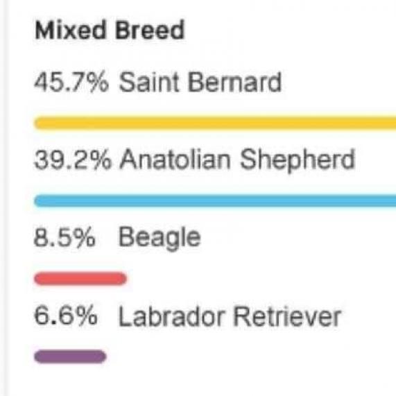 Enlarge Wally, a Adoptable Mixed Breed in Flintstone, MD image 4/6