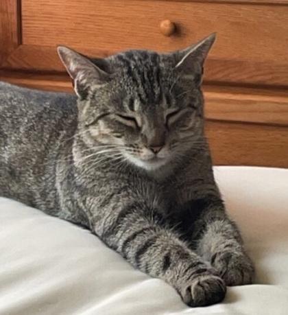 Kicho — thumbnail 3