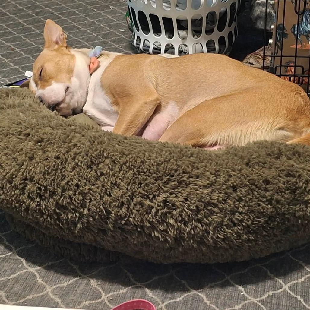 Honey — thumbnail 2