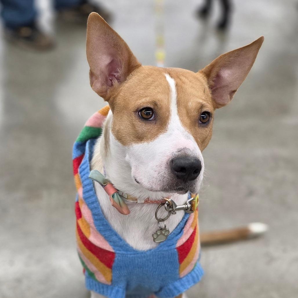 Honey — thumbnail 3