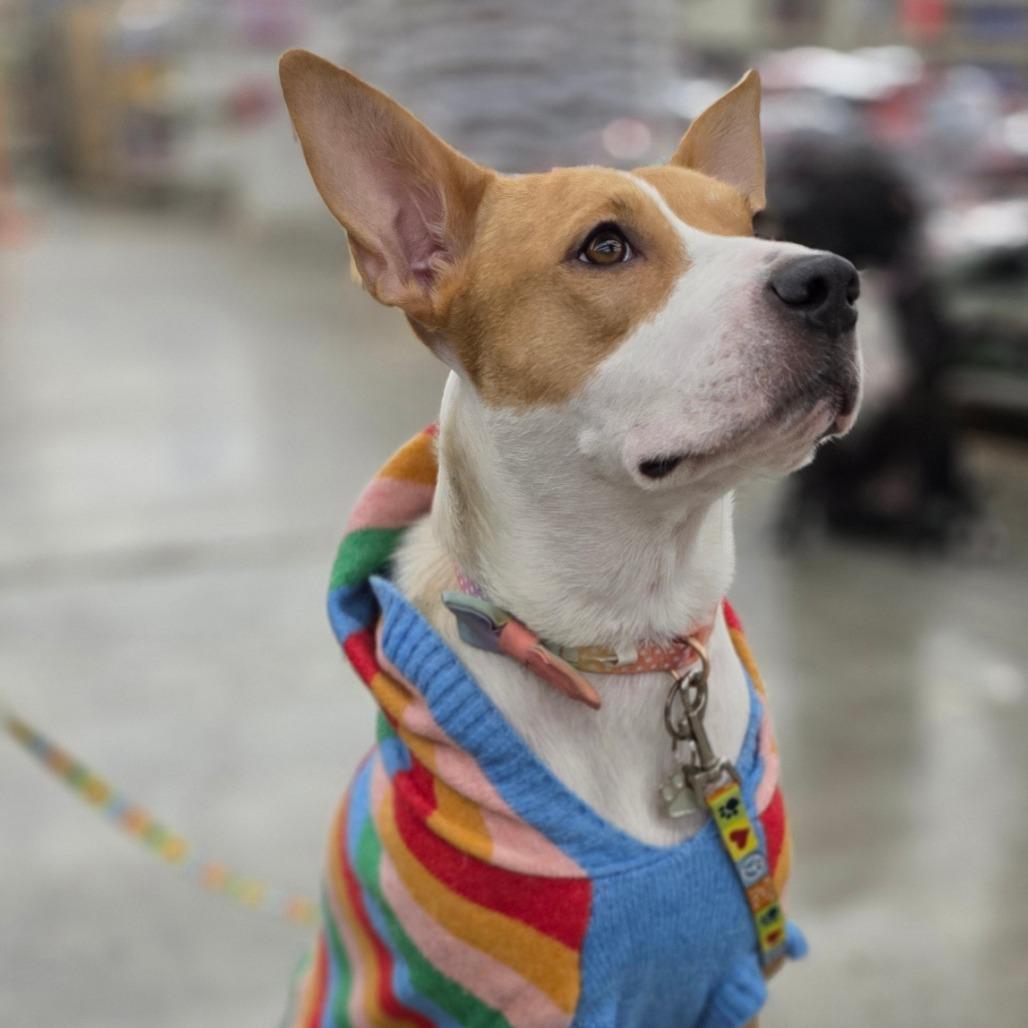 Honey — thumbnail 6