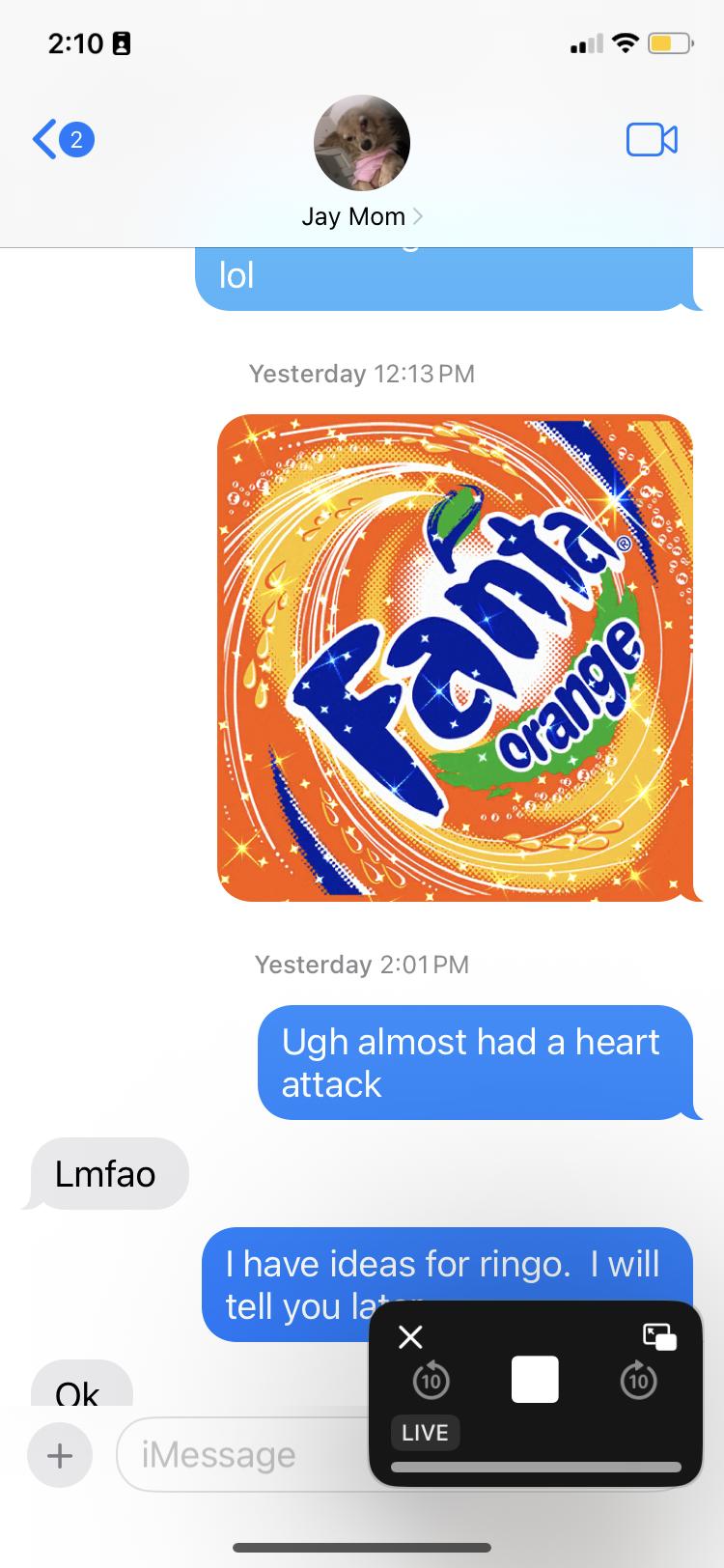 Enlarge Orange soda, a Adopted American Shorthair in Brooklyn, NY image 1/1