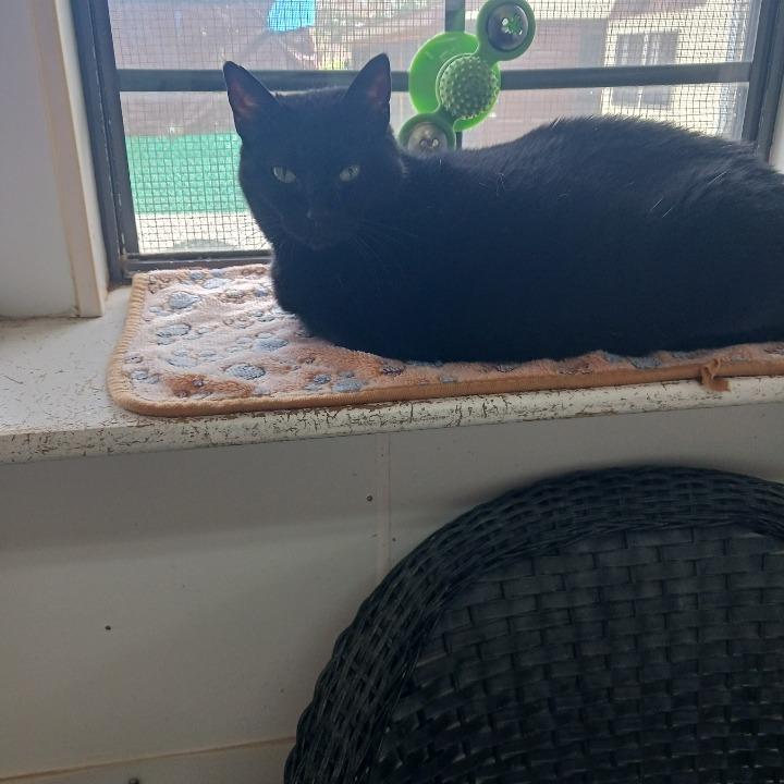 Birkdinkleton — thumbnail 4