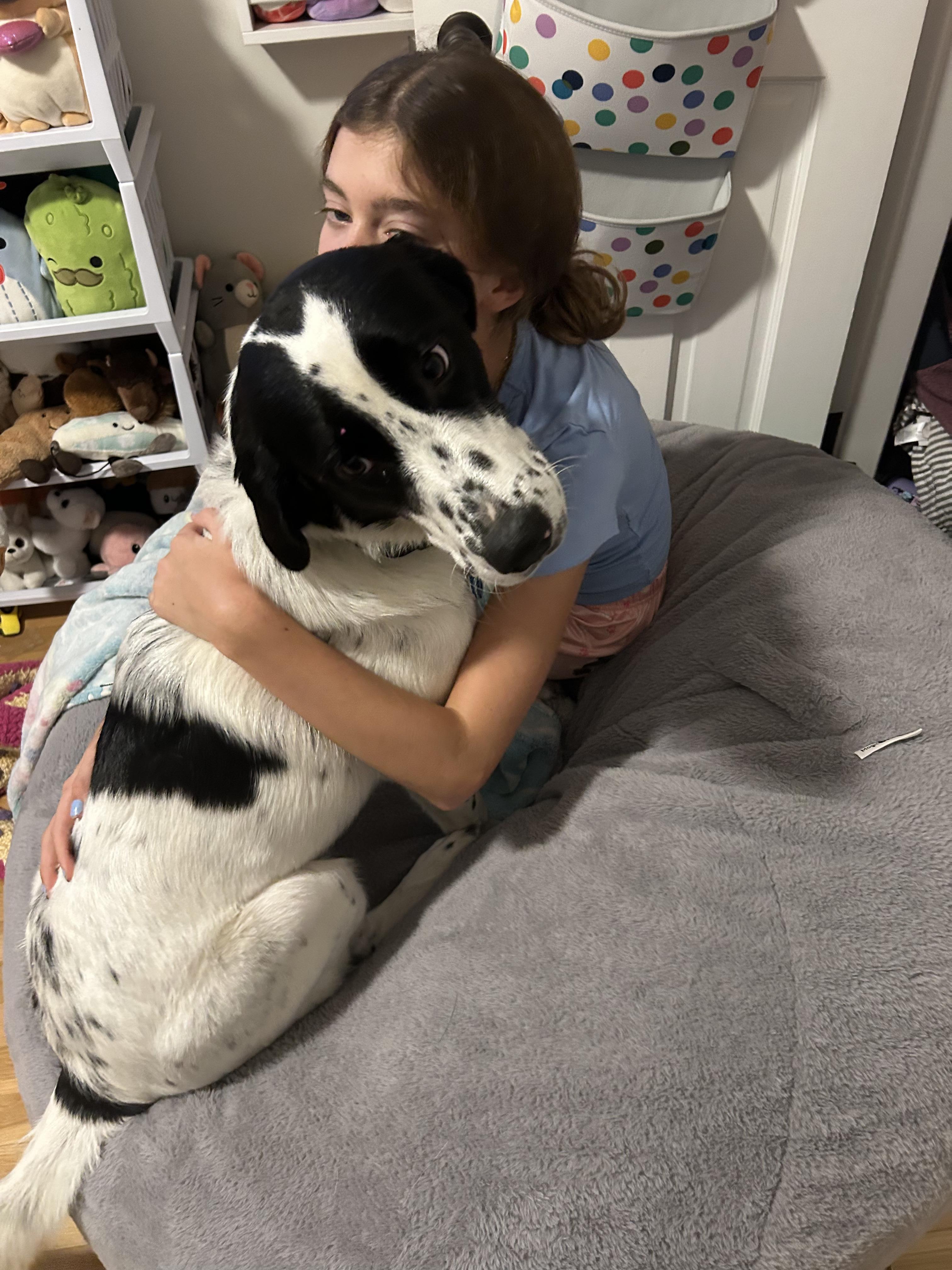 Katy - Fostered in Rhode Island