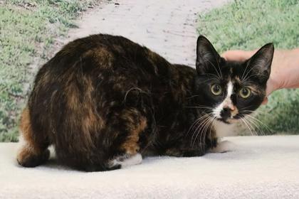 Juicebox — thumbnail 2