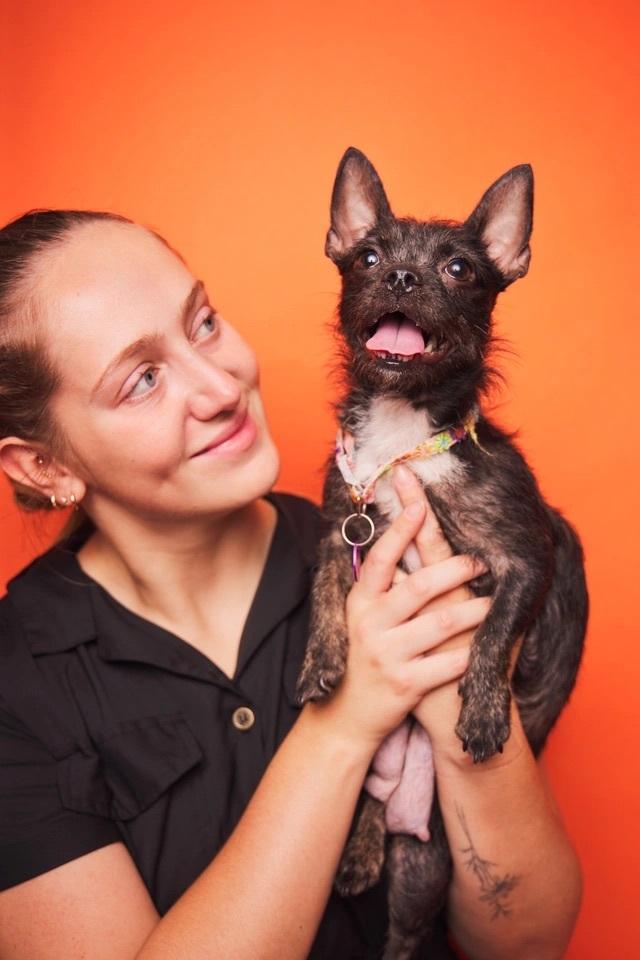 Bunny, a ADOPTABLE mixed breed in West Hollywood, CA image 4/5