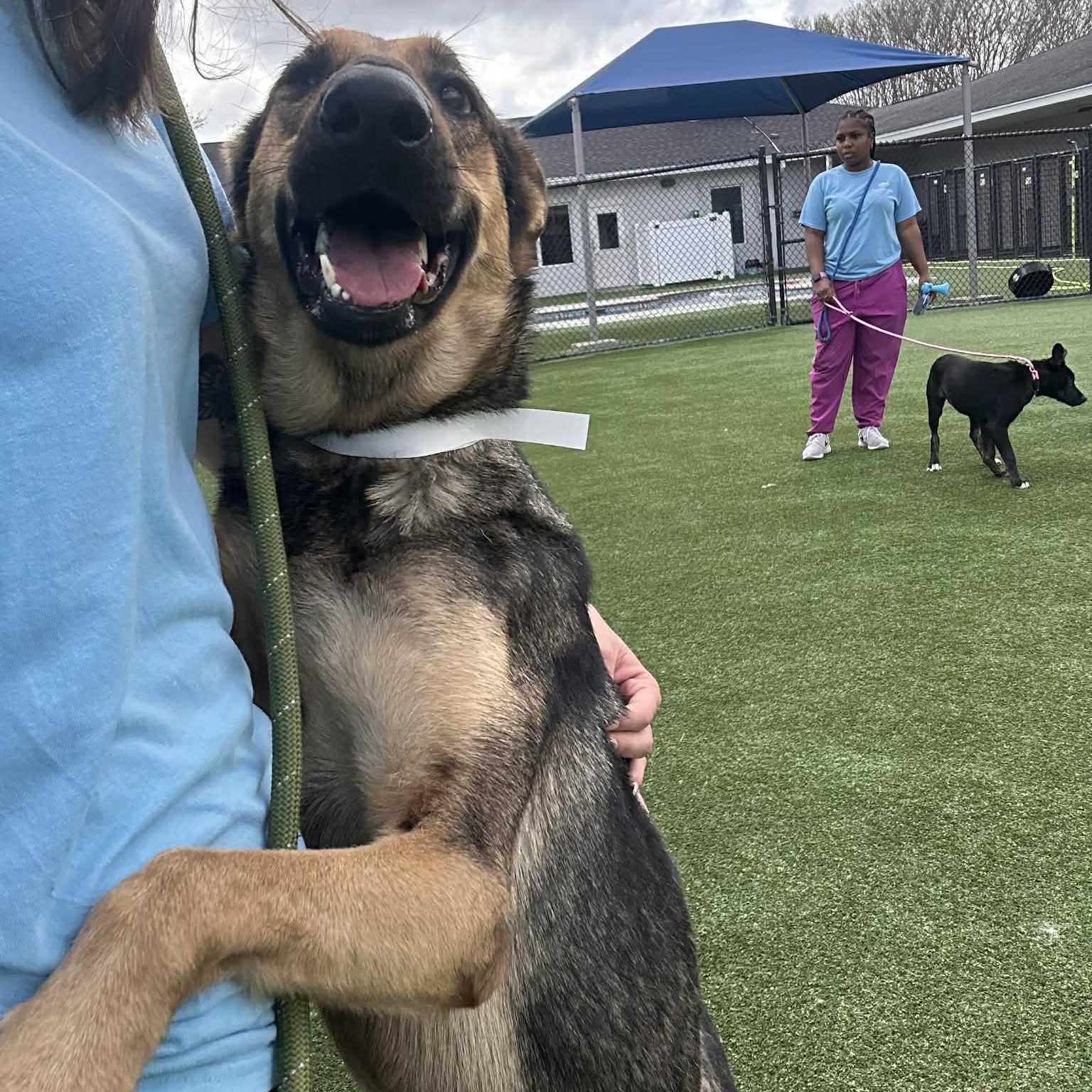 GIANNA GS — thumbnail 6