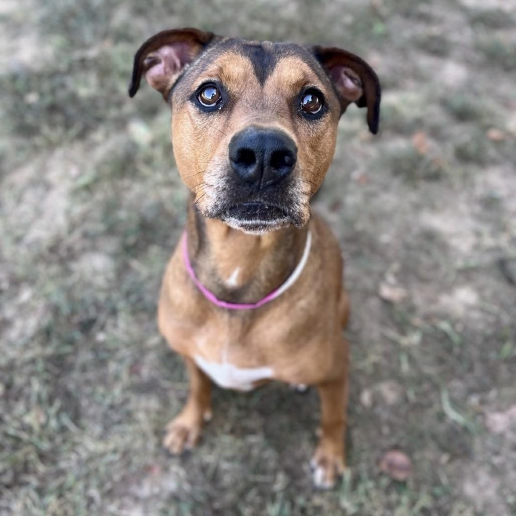 Friday — thumbnail 5