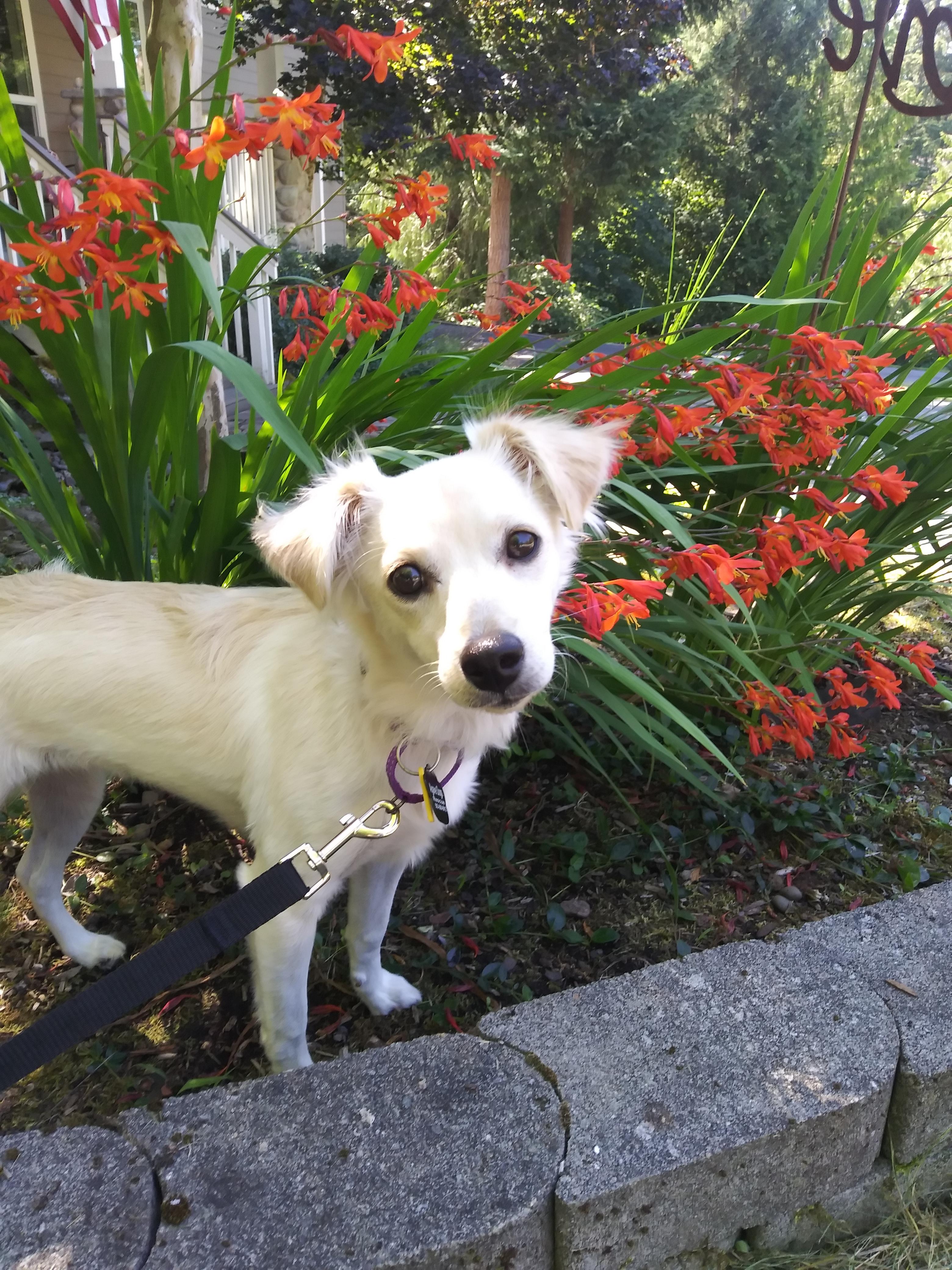Josie photo 4