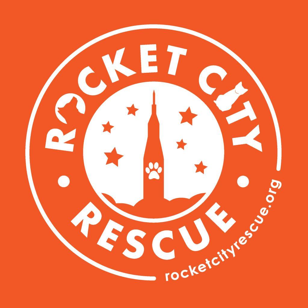 Enlarge Generic Dog Application, a Adoptable Mixed Breed in Huntsville, AL image 1/1