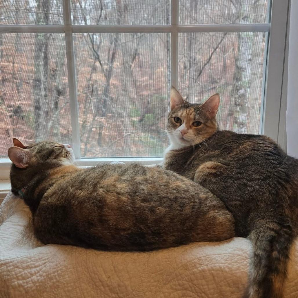 Zuri — thumbnail 3