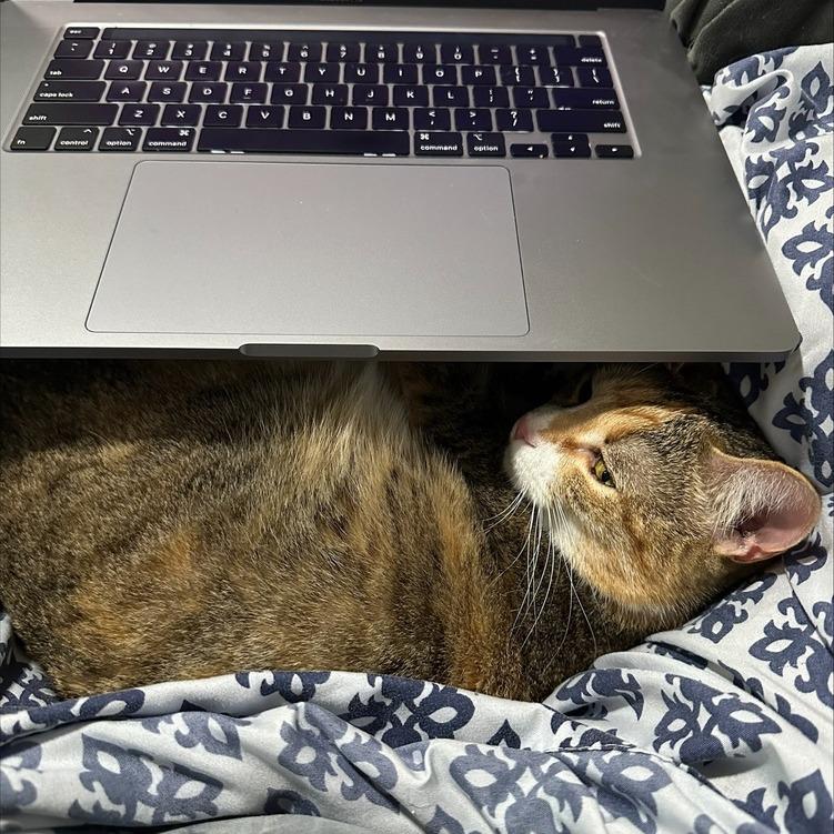 Zuri — thumbnail 6