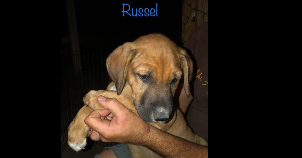 Ezzy - Russell — thumbnail 5