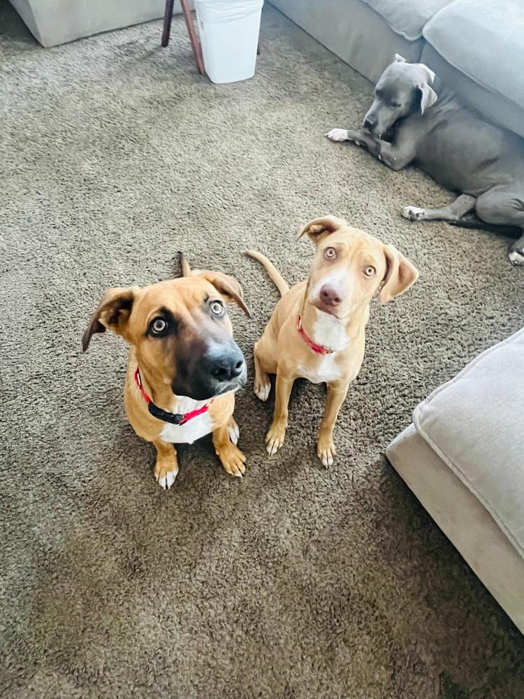 Ezzy - Russell — thumbnail 6