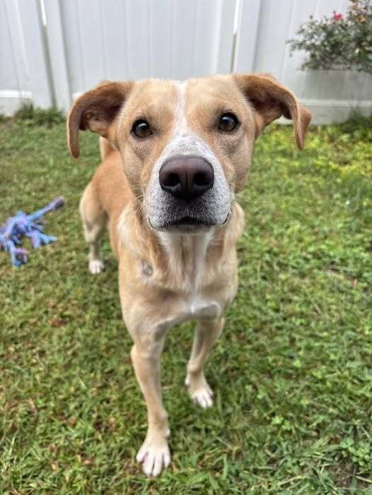 Charlie Barkin thumbnail 2