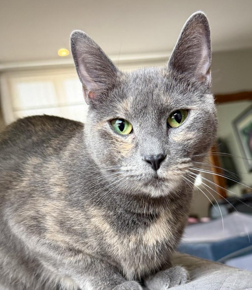 Nora — thumbnail 3