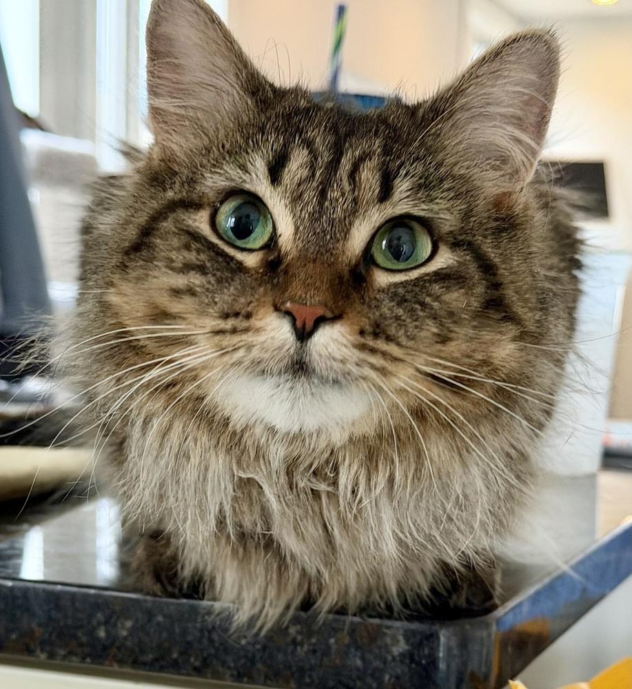 Nora — thumbnail 4